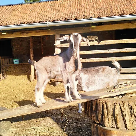 Mala Czarna Hatka Nyaraló *