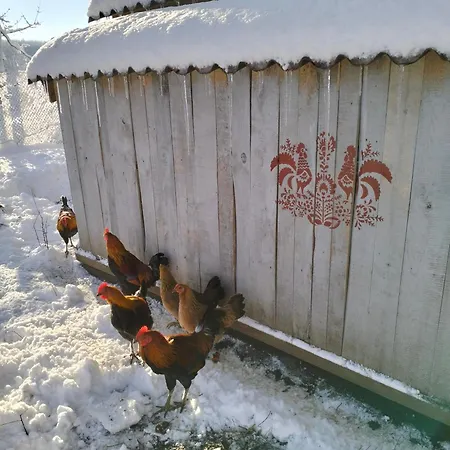 Mala Czarna Hatka Młynary